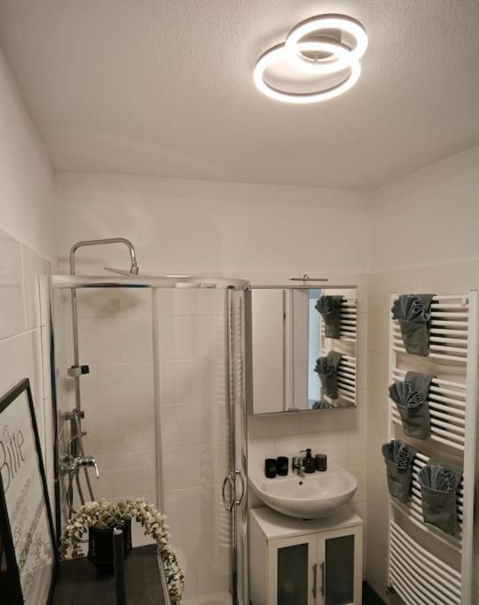 3 Zimmer Ferienwohnung 80Qm Бамберг Екстериор снимка